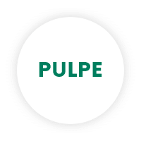pulpe