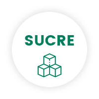 sucre