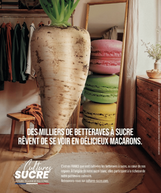 Affiche campagne de communication Cultures Sucre